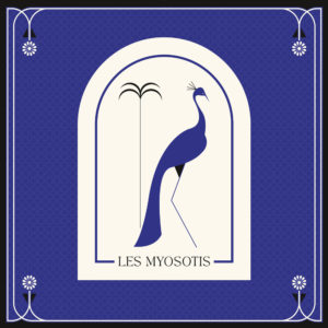 BIGGER Les Myosotis / Illustration